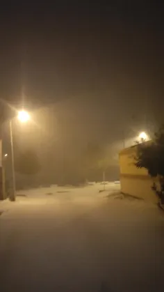 همین الان بارش شدید برف در اصفهان لنجان