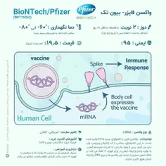 سلامت و تندرستی ali999999 33252997