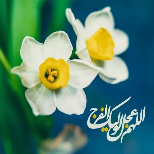 🌷 سلام امام زمانم . . .