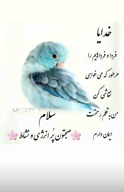 الهی نگاهی