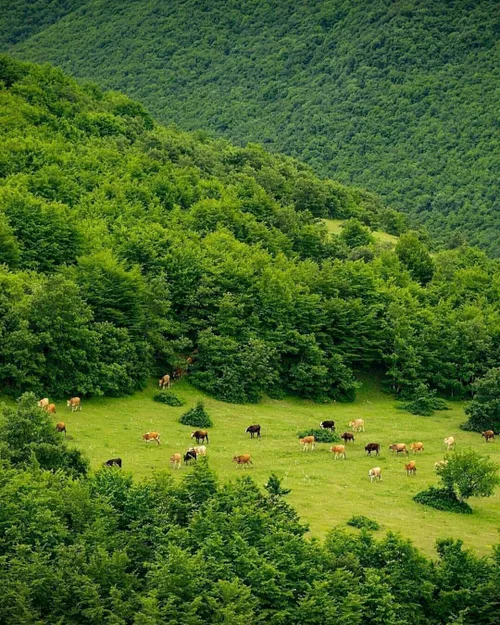 🇮 🇷 🇮 🇷 🇮 🇷 روستای آغویه، کلیبر، آذربایجان شرقی