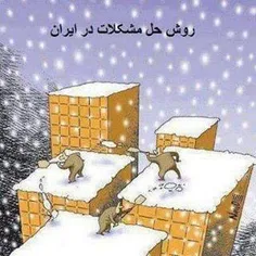 بدون شرح