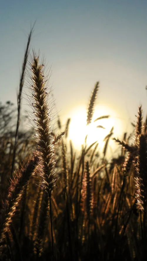 جـمیـݪ رائـع روعــہ ابــداع خاص قشنگ هنری بینظیر جذاب شیک