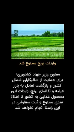 واردات #برنج ممنوع شد