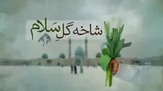 🎥 میخوای #شب_قدر #امام_زمان عج به یادت باشه؟