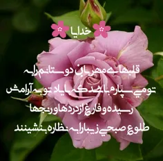 گوناگون nhf539 26441334