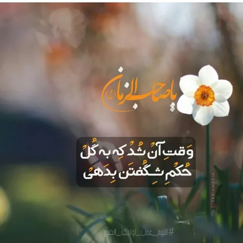 🌼 🌼 🌼 اللهم عجل لولیک الفرج🌼 🌼 🌼