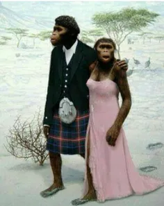 عروس و داماد به سلک میمون