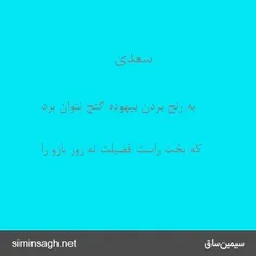 تا سعی داریم ای دل غمگین به عیش کوش
چیست این سقف بلند ساده بسیار نقش