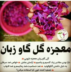 #دانستنی ها #علمی #سلامت #بخون