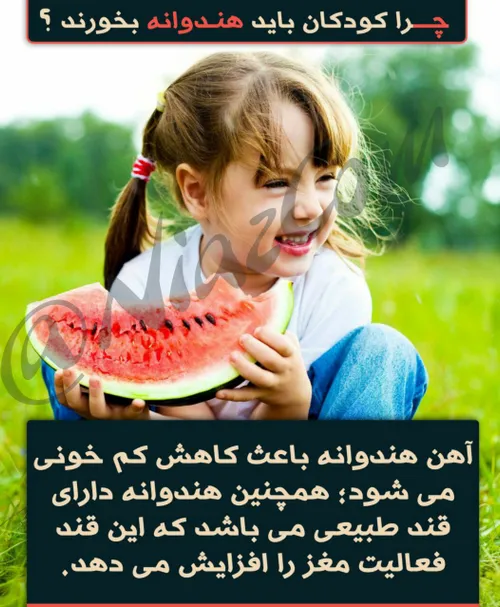 گوناگون amir2490 16327568 - عکس ویسگون