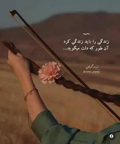 ﴿🎻🌸🍃﴾