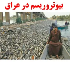 🔺  مرگ دسته جمعی ماهی ها در دجله و فرات/همشهری 