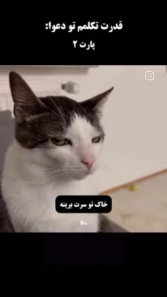 انگار از وحشی اومده