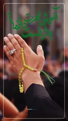 امام الرئوف،أنیس النفوس،السلطان ابا الحسن علی بن موسی