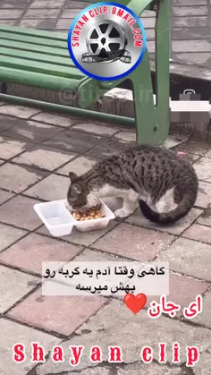 ای جان.حرفاش باحاله.گوش کنید.با حیوانات خوب باشیم❤️❤️❤️❤️