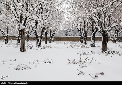 بارش برف در ارومیه