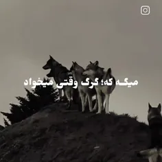 همیشه از کسایی که انتظارشو نداری ضربه میخوری 💔