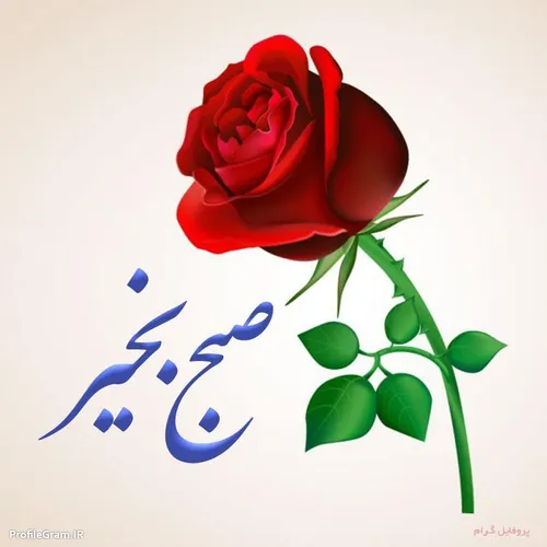 به نام خدای خوب و پاک /۸۹/۱۲/۲۸