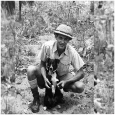 در جنگ جهانی دوم در ارتش استرالیا سگی به نام گانر میتوانس