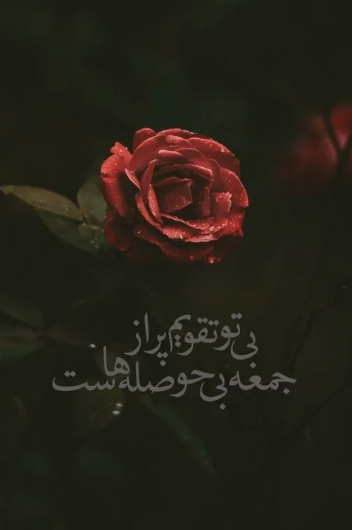 یاس سپید من به صبح عشق سوگند