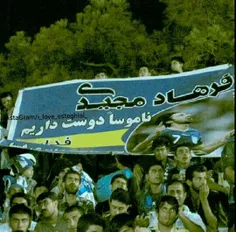 ناموسا دوست داریم