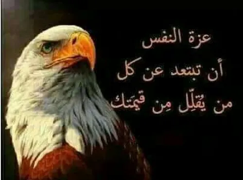 ‏لو ما احترمت الناس ما تکسب الناس