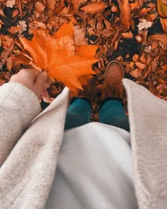 🍂🍁💛