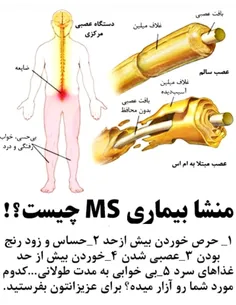 #دانستنیها #علمی #سلامت #عکس_نوشته