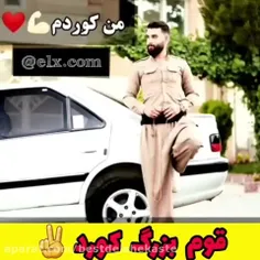 به سلامتی هر چه کورد