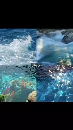سا چا واو