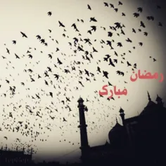 بِسمِ اللَّه الرَحمَنِ الرَحِیم ❤
