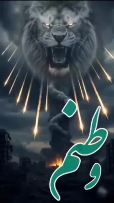 ✌️🇮🇷🇮🇷✌️