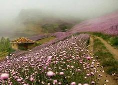 کانال رسمی خبرگزاری صداوسیما: