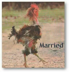 مردان بعد از ازدواج 😯😄