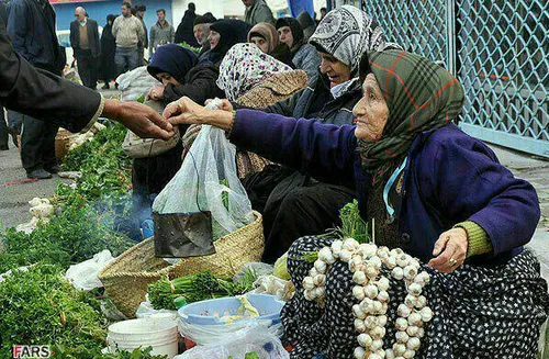 نان امشبم فروش این سبزی هاست