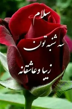 فال روزانه سه شنبه 23شهریور1395