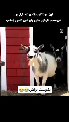 بفرس برا بعدی