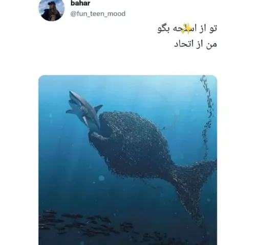 اتحاد