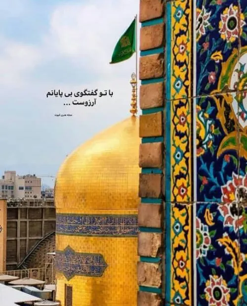 دوست دارم و این تمام خواهش من هست یا امام رئوف💚💚