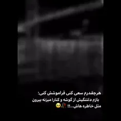 هر چقدرم سعی کنی فراموش نمیشه لامصب😔🥀