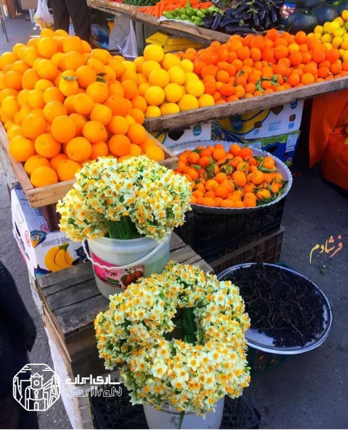 که در بوستانش همیشه گل است