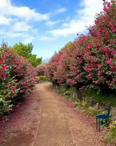 تقدیم به نگاه زیبای همه شما خوبان...