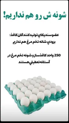 علی برکت الله شیخ حسن