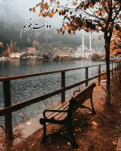 🍃تقدیم به همه ی دوستان عزیز🍃