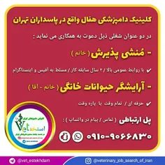 استخدام منشی خانم و گرومر خانم یا آقا در تهران 