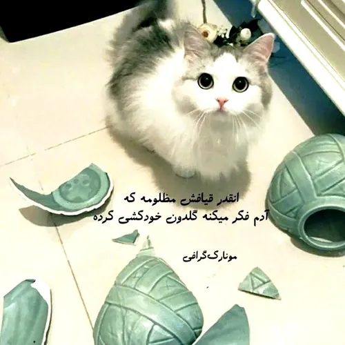 واییی آره