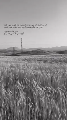 تو را به جای همه کسانی که نشناخته ام دوست می‌دارم