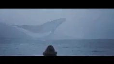 #whale