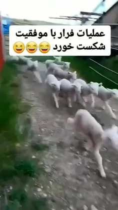 😂😂😂😂🤦‍♀️